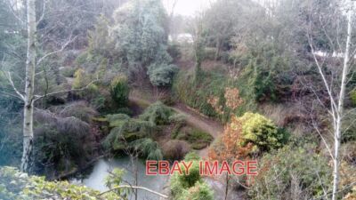 FOTO BAGINTONBÄUME UND EIN GEFRORENER TEICH EIN KLEINER BEREICH NEBEN RUSSELLS GARTEN CEN