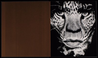 Photographs by Albert Watson (Signed) Introduction by James Crump 