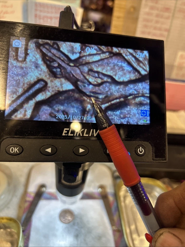 2009D Lincoln Penny Fingers Made Together On The Reverse - Image 2 of 4