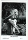 BX134) ELKE SOMMER SWIFTSURE PHOTO POSTCARD (40/197) PIN UP FILM GLAMOUR