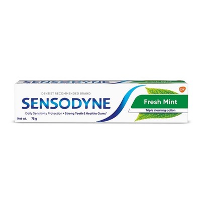 Fresh Mint Toothpaste 264 oz Sensitive Teeth Protection Cavity Defense