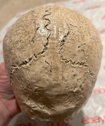 Calavera cerámica - Imagen 6 de 6