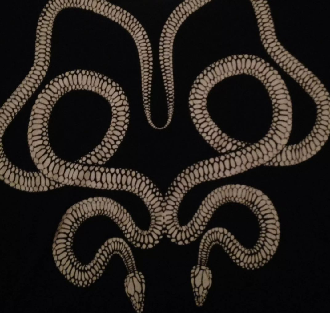 SAINT LAURENT Snake Print Cotton Jersey T-Shirt TEE Black size MED