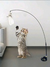 Articoli Per Animali