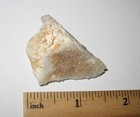 1.3" BEAUTIFUL SMALL NATURAL ROUGH SAURALITE AZEZTULITE STONE NEW ZEALAND  19.4g — photo 2
