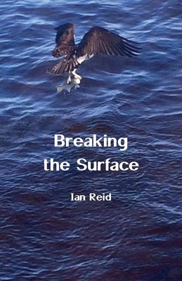 Breaking the Surface | Ian Reid | Taschenbuch | Paperback | Englisch | 2023