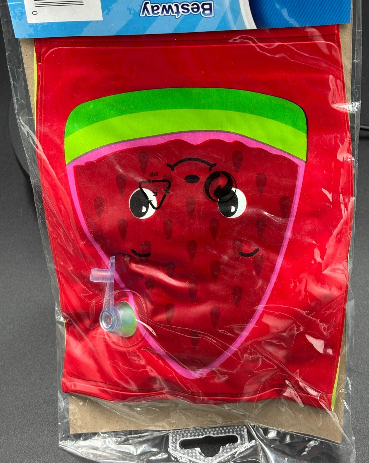 H2O GO Inflatable Watermelon Kids Swim Armbands