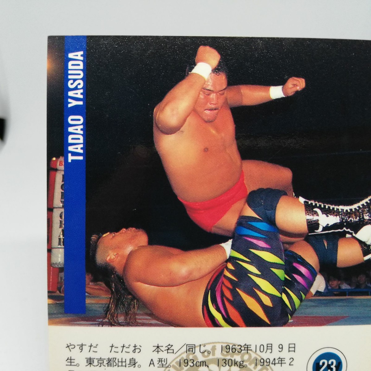 ーーーーーtadao 1229. ーーーーー 23 TADAO YASUDA New Japan Pro WREITLING CARD BBM96 1996 JAPAN TCG