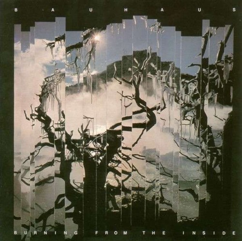 Burning From The Inside - Bauhaus CD - Imagen 1 de 1