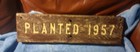 Primitive "Planted 1957" Forest National Park Wooden Sign — photo 1