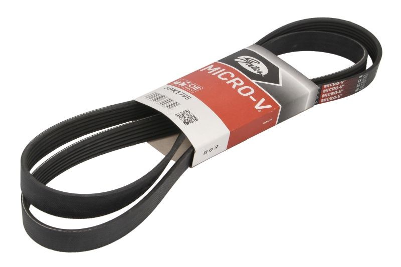 6 Rib Multi V Drive Belt fits RENAULT Gates 8200833549 8200113203 8200833570 New - Image 40
