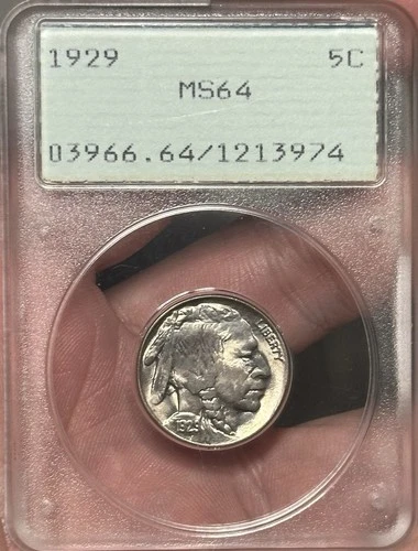 1929 PCGS MS64 “Rattler” Buffalo Nickel 5c - Lustrous + Rare