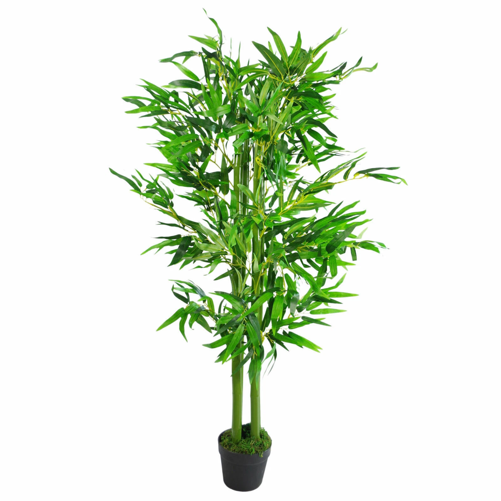 120cm Fat Leaf Bamboo - 7105