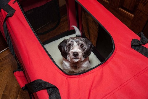 PET LIFE 'Deluxe 360° Vista View' Zippered Soft Folding Collapsible Metal F - Picture 5 of 5