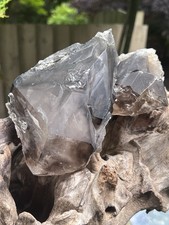 Fenster Elestial Window Smoky Quartz Himalayan Super Extra 1915g