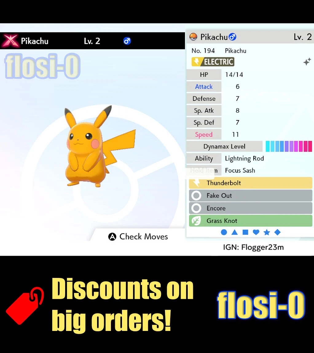 Pokemon sword pikachu deals