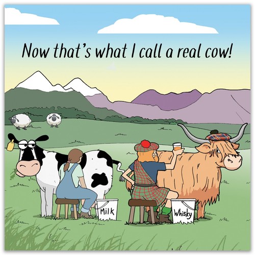 Funny Card - Scottish Highland Cow - Scotland Funny Birthday Card - Blank Inside - Picture 2 of 7