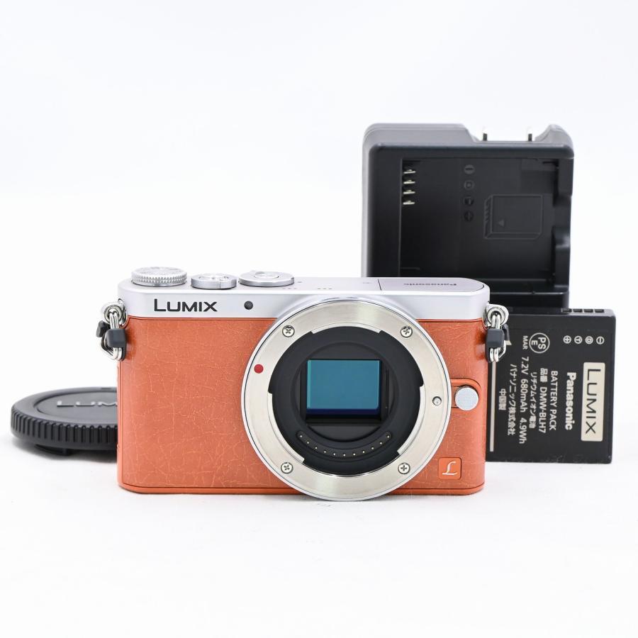 ジャンク】パナソニック LUMIX DMC-GM1 ホワイト ボディのみ