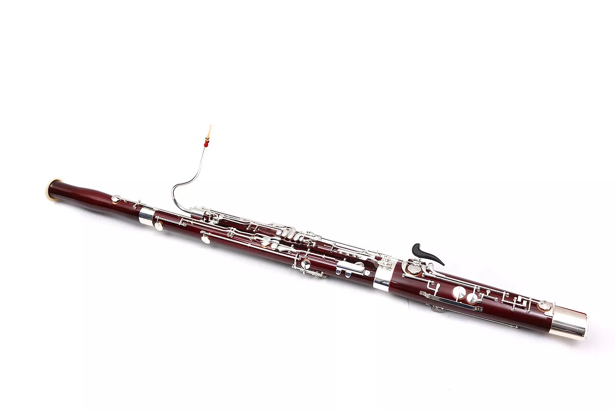 Ebay bassoon deals