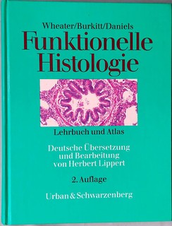 Wheater Burkitt Daniels Funktionelle Histologie Lehrbuch & Atlas ISBN 3541090324