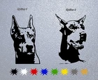 STICKER PEGATINA DECAL VINYL Doberman Dog Head
