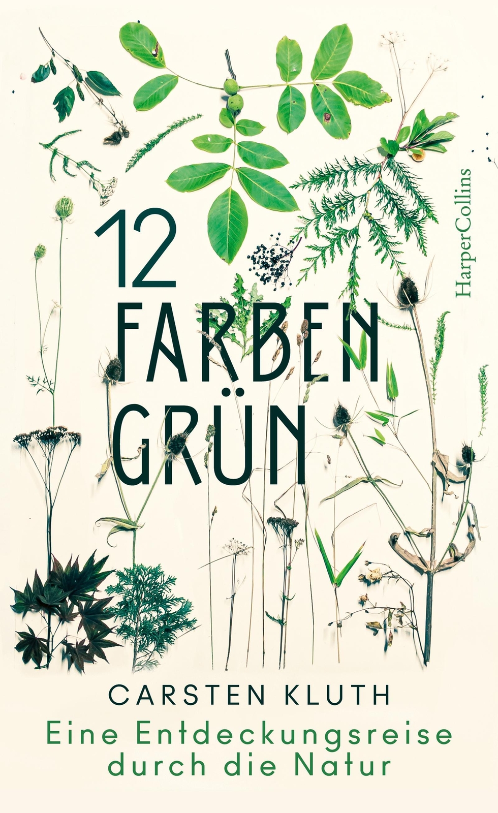 12 Farben Grün - Eine Entdeckungsreise Durch Die Natur | Carsten Kluth