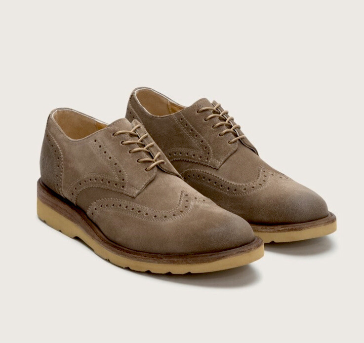 NEW! FRYE Jim Wedge Wingtip Men