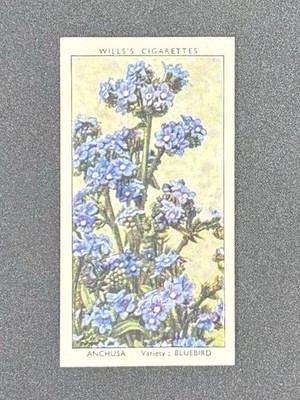 1939 Wills Garden Flowers #2 Anchusa Bluebird Tobacco Card