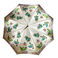 Burberrys Floral Pattern Nova Check Long Umbrella Discontinued Rare