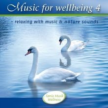 Music for Wellbeing IV von Various Artists | CD | Zustand gut