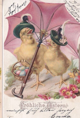 Anthropomorphic Two Chick Easter colored eggs Vintage Easter Postcard 1900s