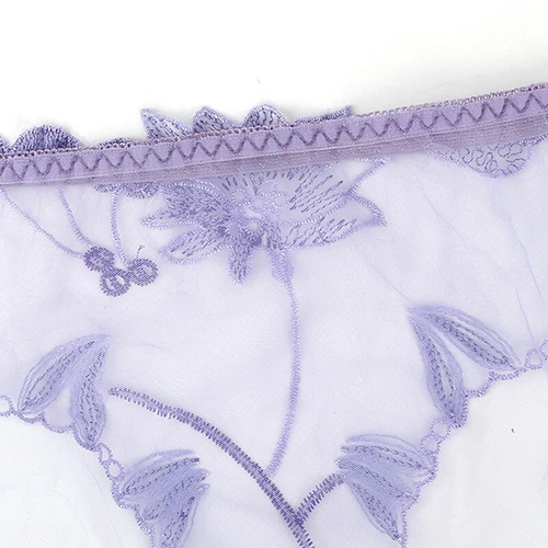Womens Sexy Underwear See Through Lingerie Mesh Briefs Lace Panties Knickers🎀 - Picture 10 of 30