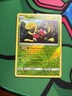 Shuckle 16/214 Sm-Lost Thunder Reverse Holo VLP Pokemon TCG