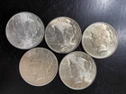 lot 5 1922 1923 1924 1925 1926 silver dollar peace ungraded shiny