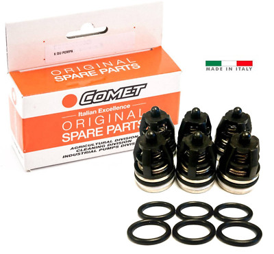 Original Comet 5025.0021.00 VALVE KIT for TW Series Pumps (5025002100) 6 Valves