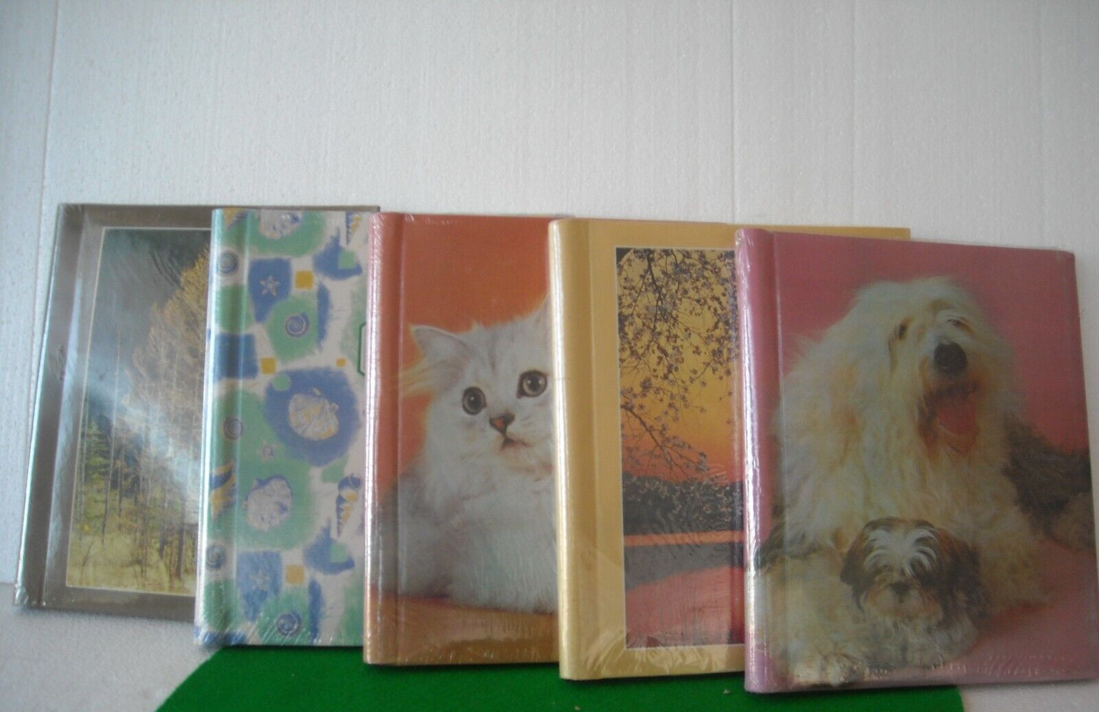 Foto 18 di 23