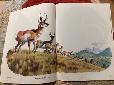 ARIZONA HIGHWAYS FEBRUARY 1976 ANIMALS OF ARIZONA BY LARRY TOSCHIK