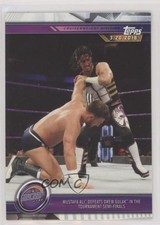 2019 Topps WWE Road to Wrestlemania Mustafa Ali Drew Gulak #51 0ol8