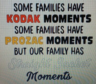 Some Families Have Kodak Moments Prozac Moments Straight Jacket Moment Decal.