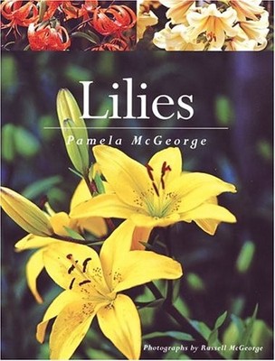 Lilies - GOOD
