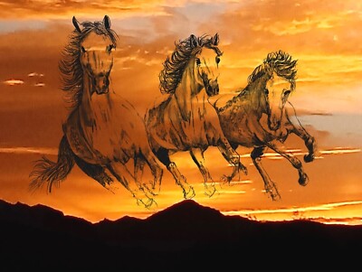 Native America Spirit Animal Wild Horses Nature Sunrise Desert Southwest Art