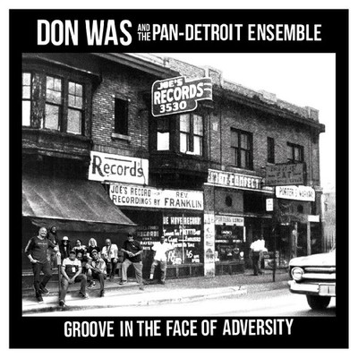 WAS,DON GROOVE IN THE FACE OF ADVERSITY LP Brand New