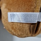 Bild 13 von 15