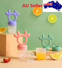 2 In 1 Baby Fresh Food Feeder and Teether