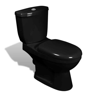 vidaXL Toilet With Cistern - Black (240550) for sale online | eBay 