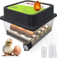Compact 12-Egg Incubator with Automatic Turning  Humidity Control - Easy to Use
