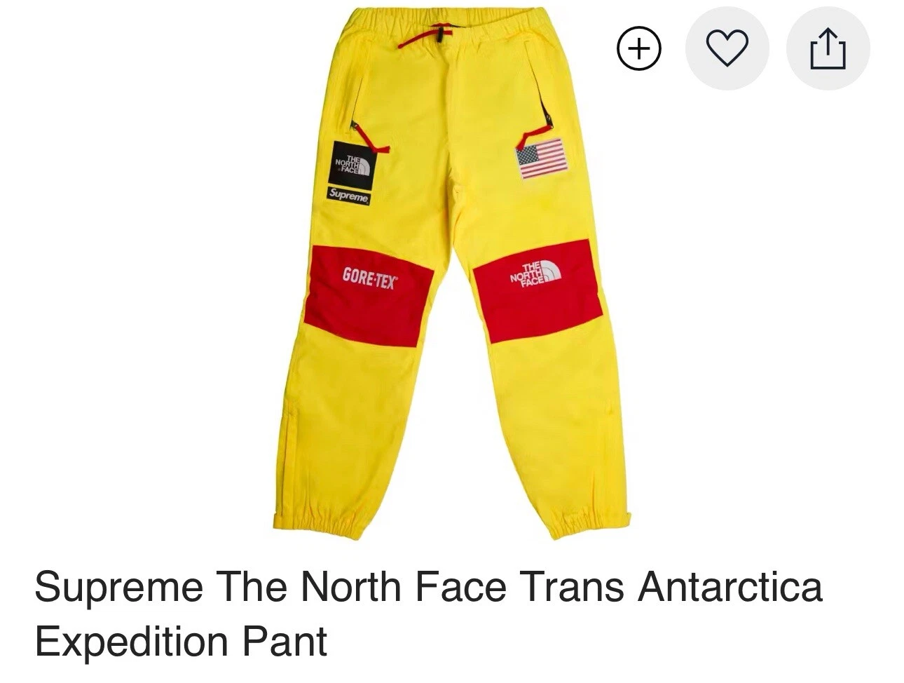 Pantalon Gore Tex Supreme X The North face