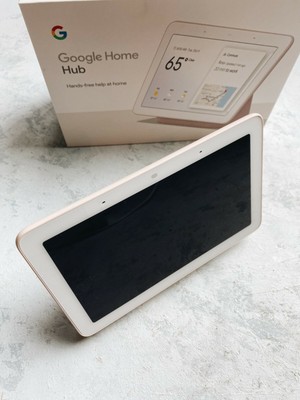google home hub ebay