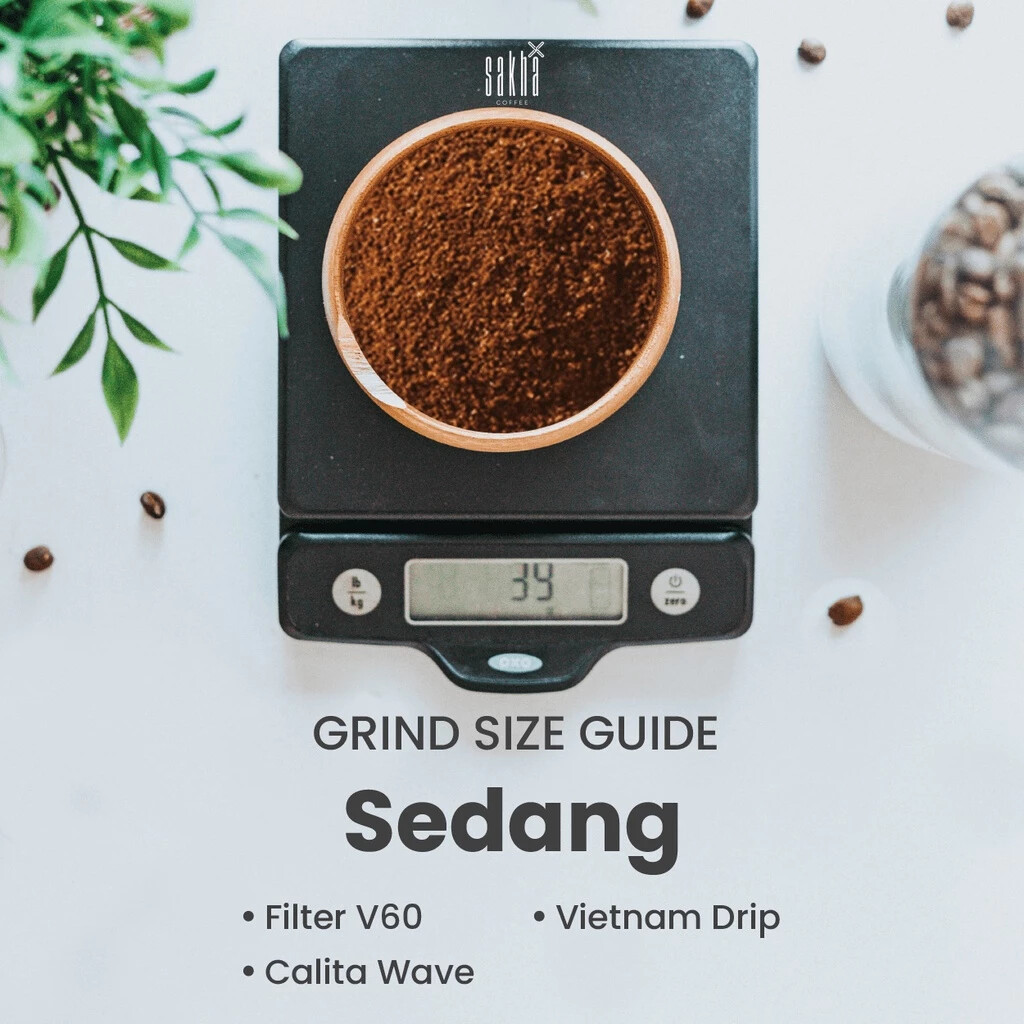 coffee Robusta Gayo Aceh Coffee Roast Bean Espresso Beans 100 or