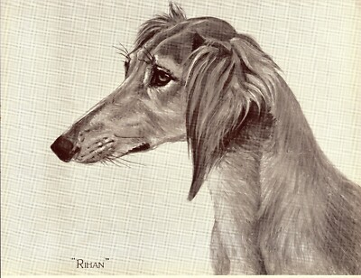 1930s Saluki Print Wall Art Decor Rihan Saluki Art Illustration Print 5120u